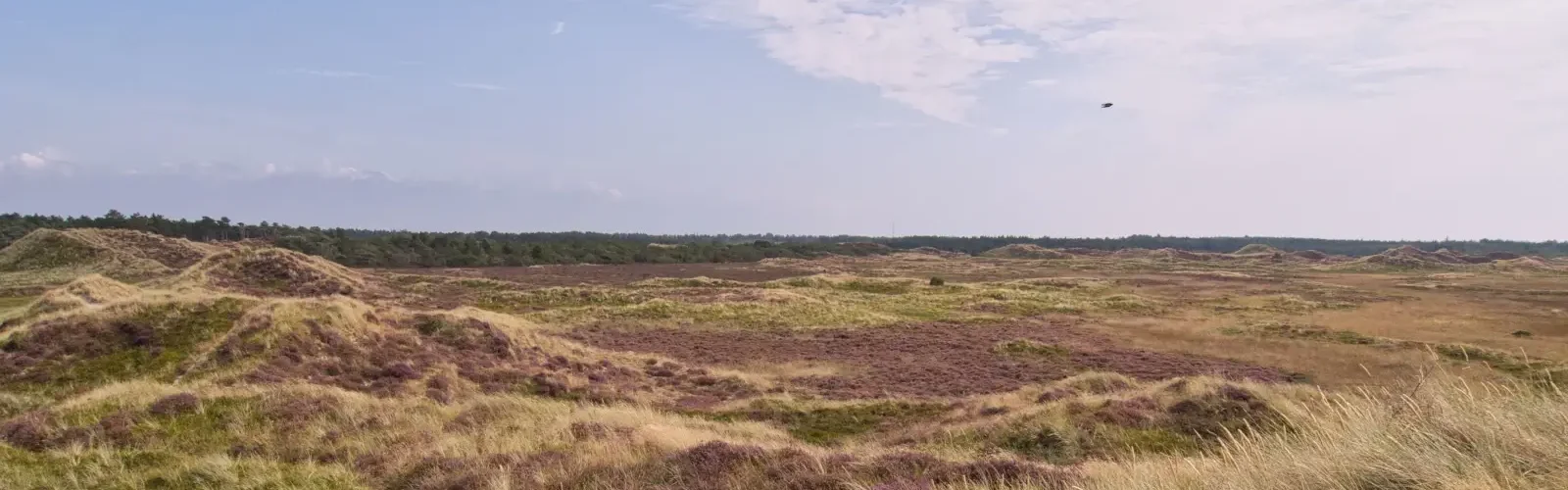 ruslad sjælland