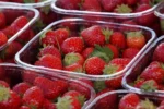 starberry