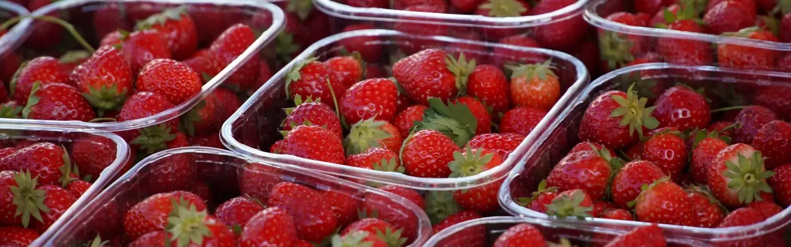 starberry