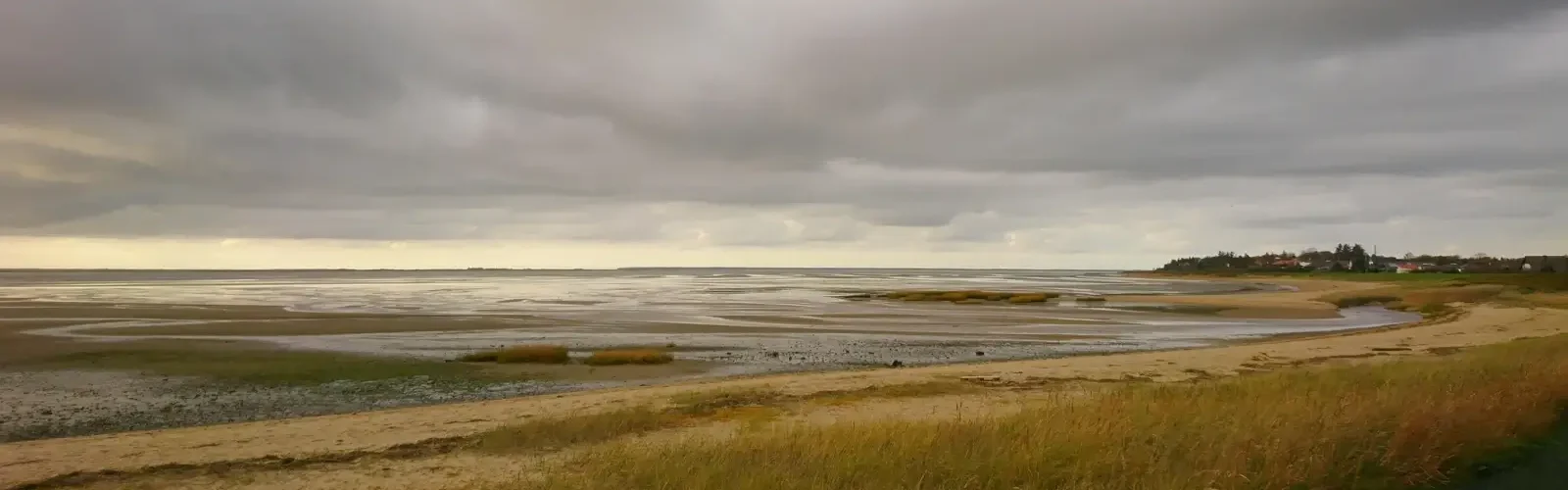 vadehavet