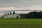 svinefarm