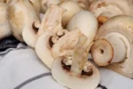 havechampignon